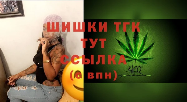 гидра Абаза