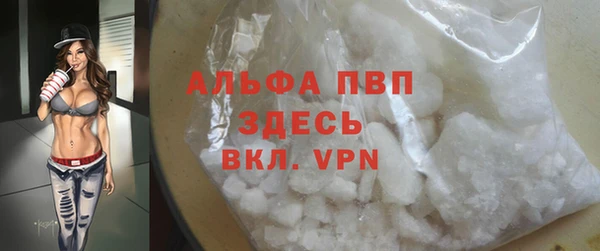 гидра Абаза
