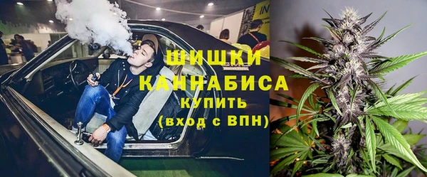 гидра Абаза