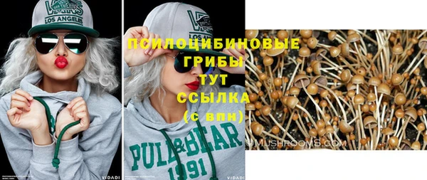 скорость Алексин