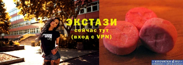 гидра Абаза