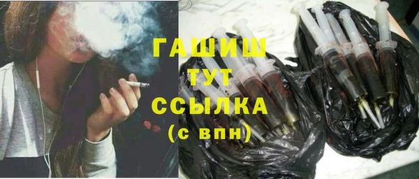 гидра Абаза