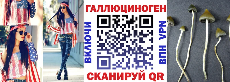 Псилоцибиновые грибы Magic Shrooms  купить наркоту  Пудож 
