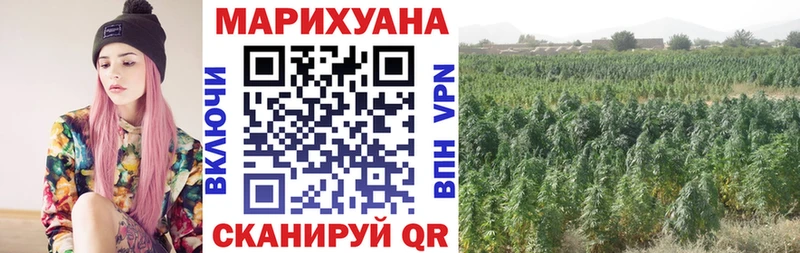Бошки марихуана планчик  Пудож 
